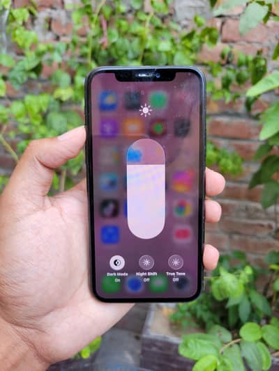 iPhone 11 Pro (256GB)