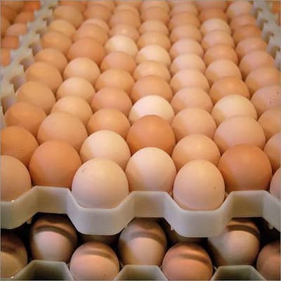 full Desi egges an goosi egges available 100% pure only 1 time checked