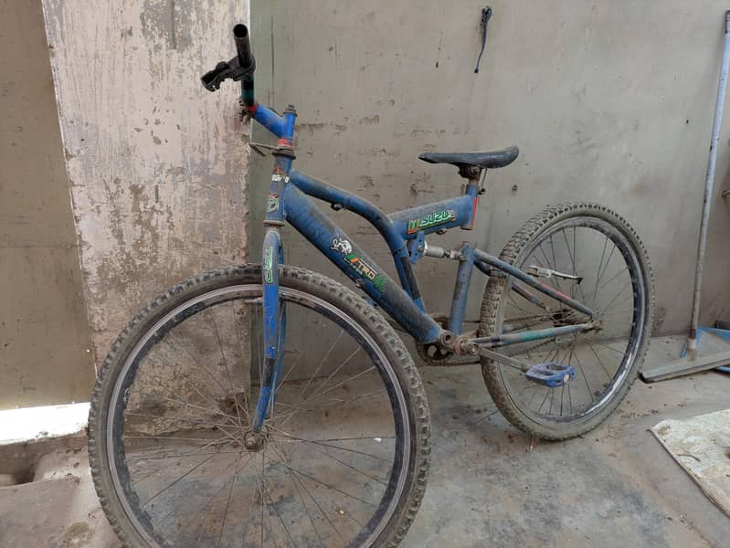 bicycle 2