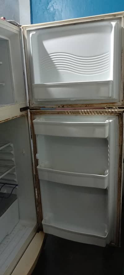 waves fridge