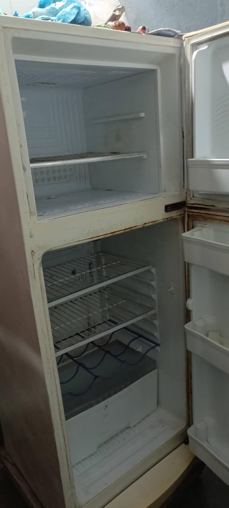 waves fridge 1