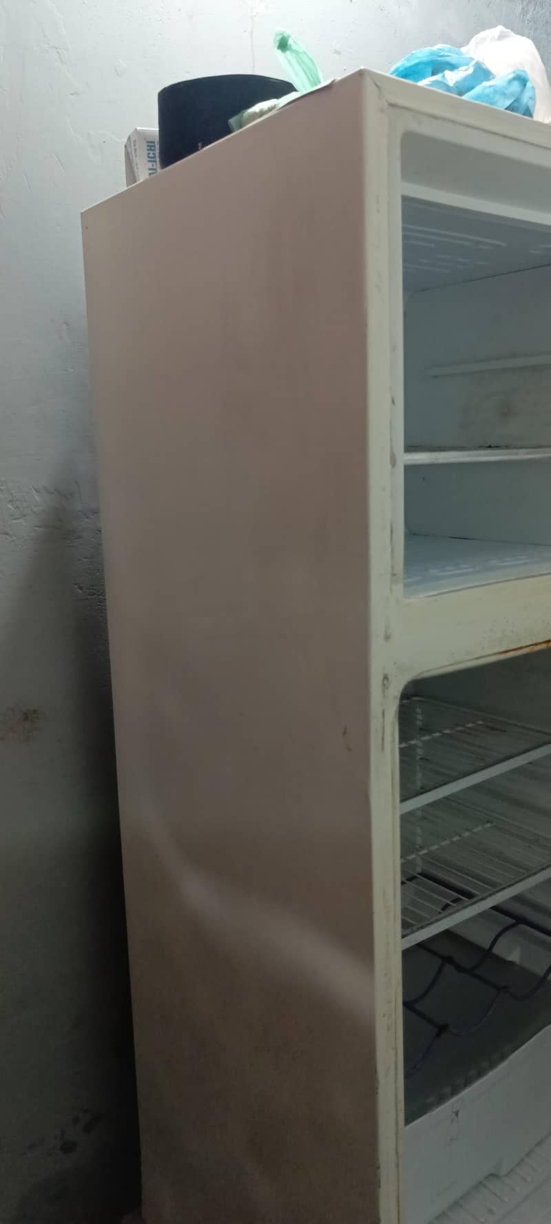 waves fridge 2
