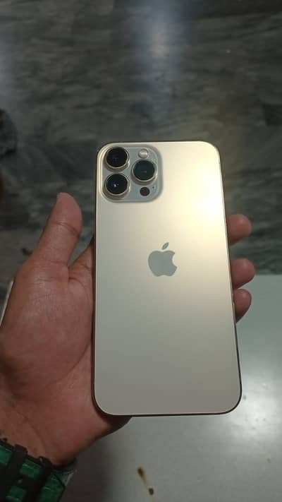 Apple iPhone 13 Pro Max