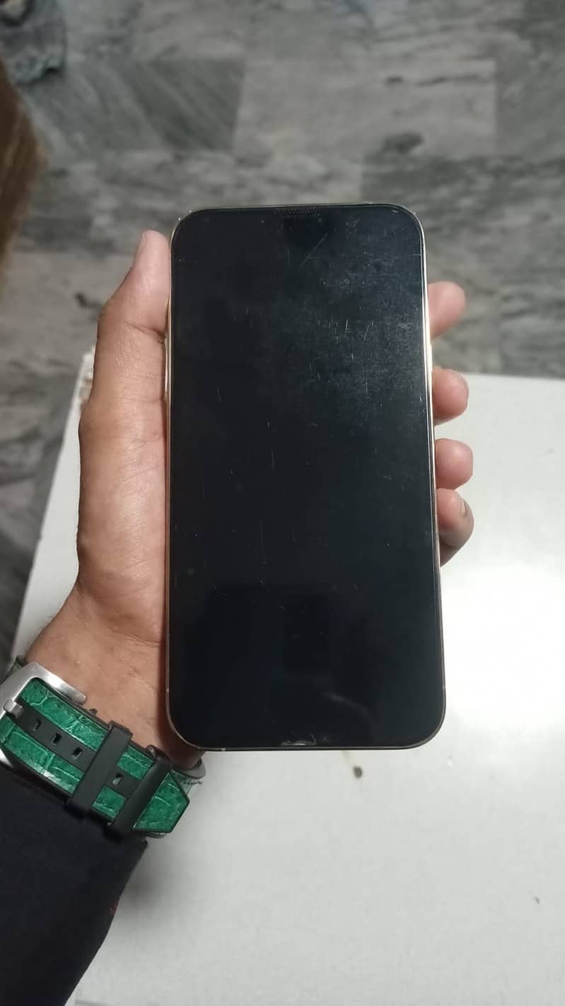 Apple iPhone 13 Pro Max 1