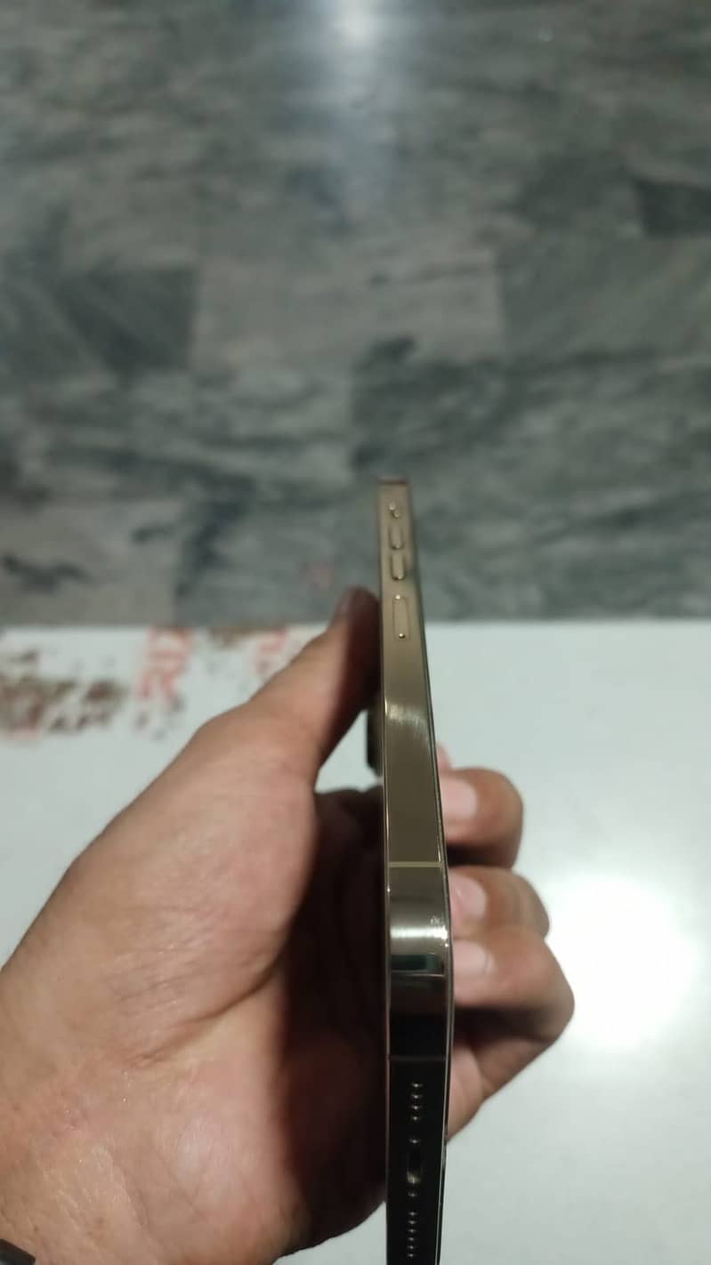 Apple iPhone 13 Pro Max 4