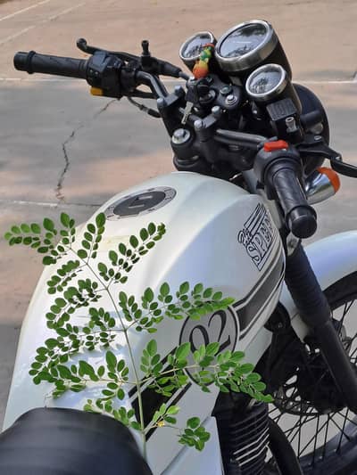 Hi Speed Infinity 150 2023 model