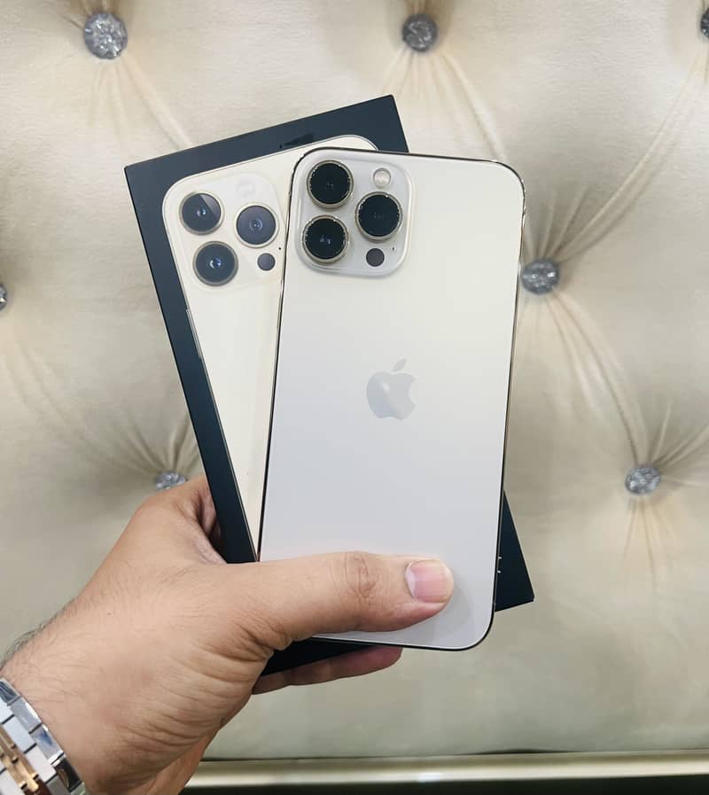 iPhone 13 Pro Max 1