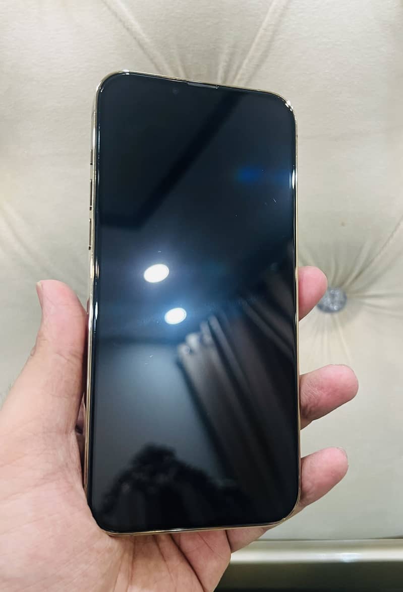iPhone 13 Pro Max 8