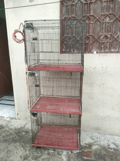 Cages For Parrots