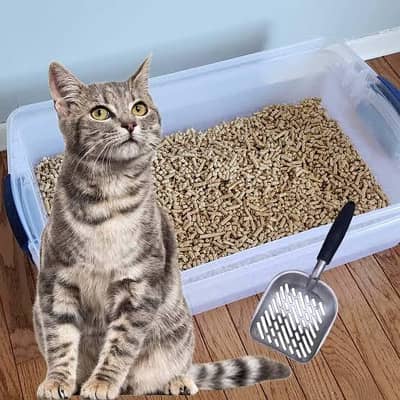 Wood pellets cat litter