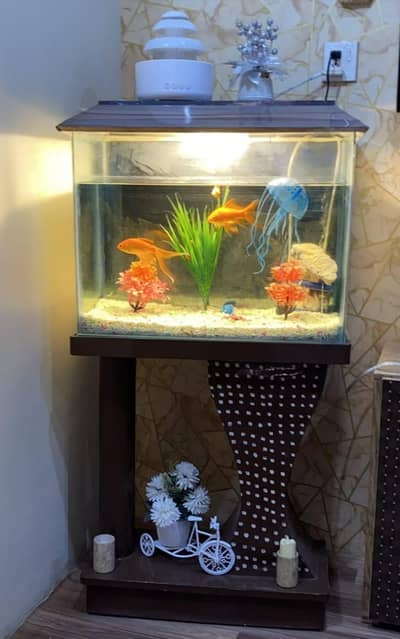 Aquarium with 1 fish,Oxygen machine