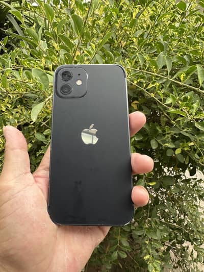 Apple iPhone 12