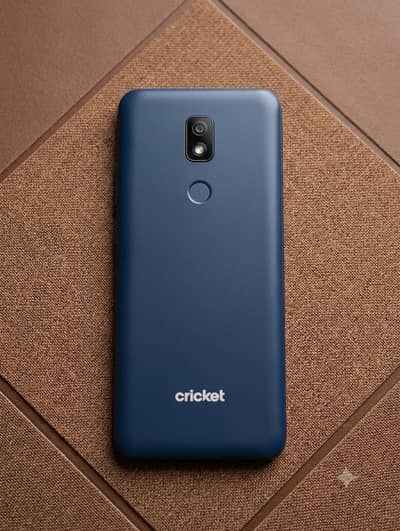 Cricket® Splendor NON PTA