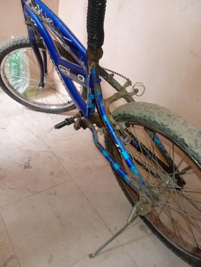best cycle 1