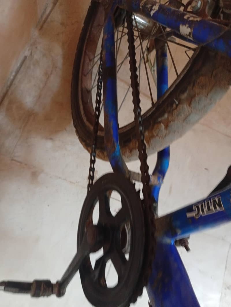 best cycle 5