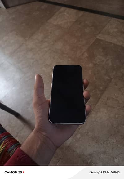 Apple iPhone 13