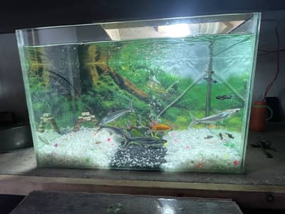 New aquarium with 18pcs fish