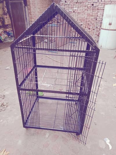 cage raw parrot k lie double portion