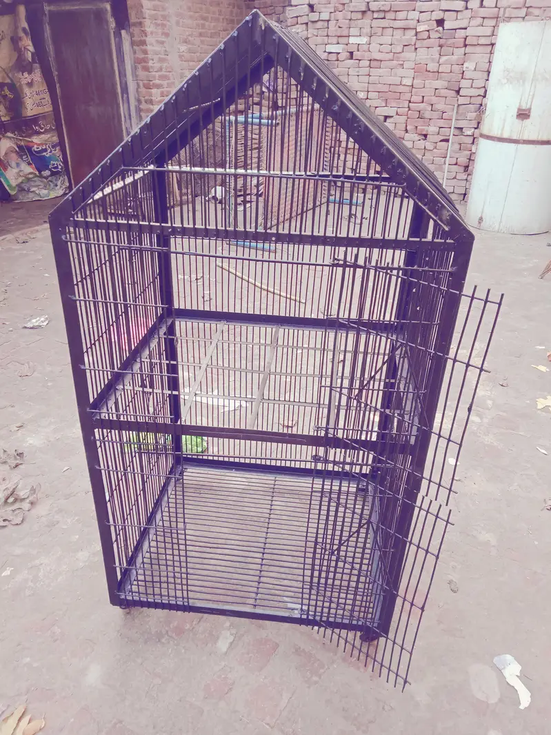 cage raw parrot k lie double portion