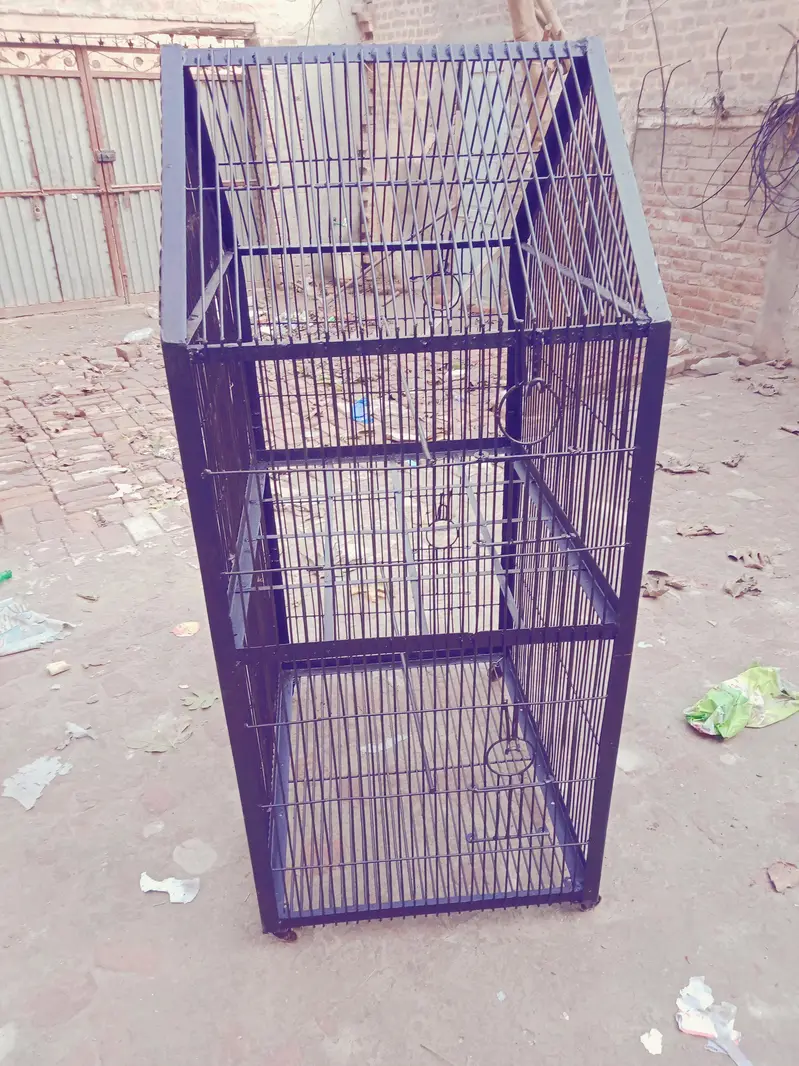 cage raw parrot k lie double portion — photo 2