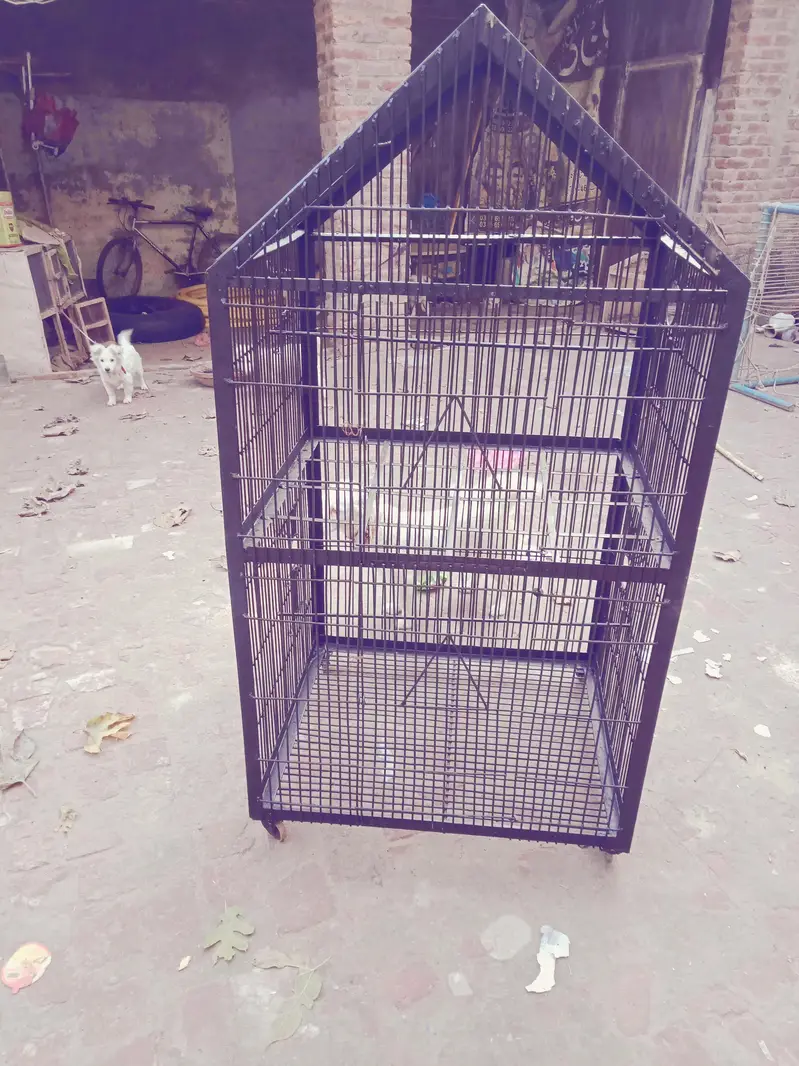 cage raw parrot k lie double portion — photo 3