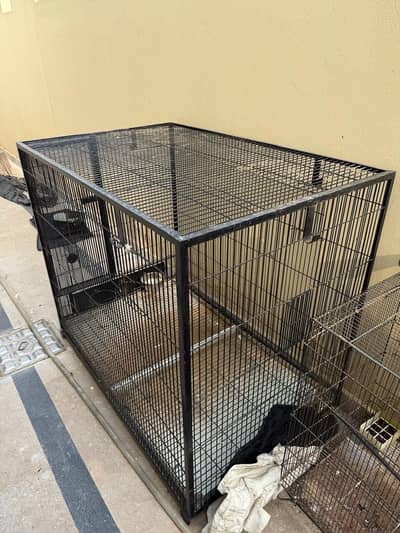 Iron Cage