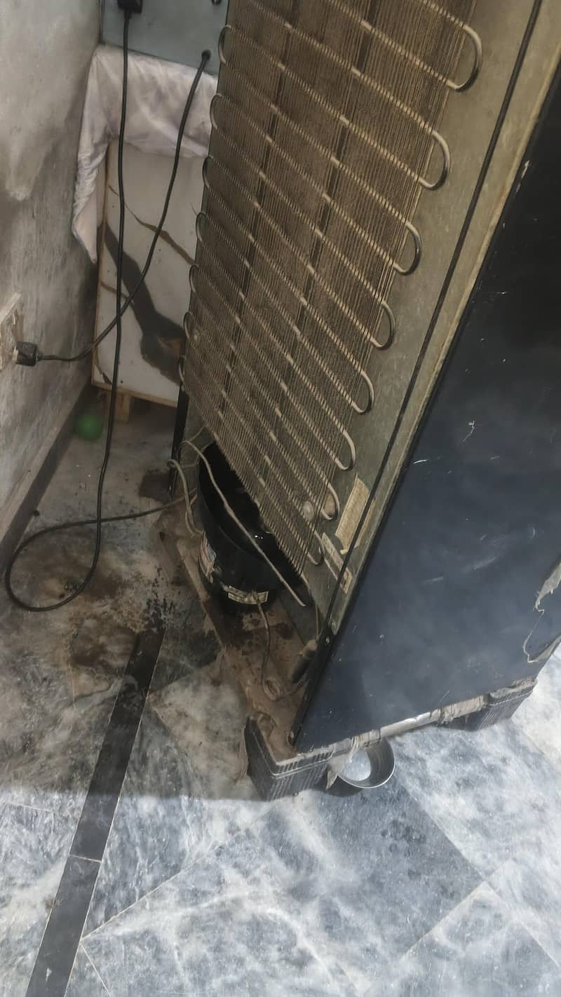 fridge 3