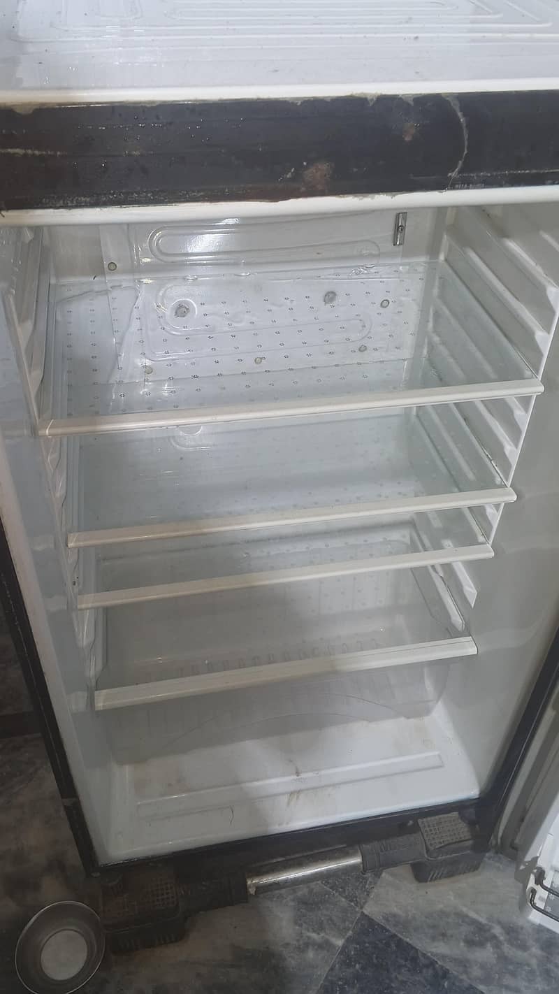 fridge 7