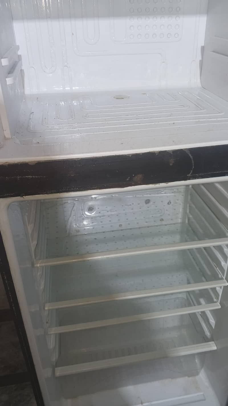 fridge 8