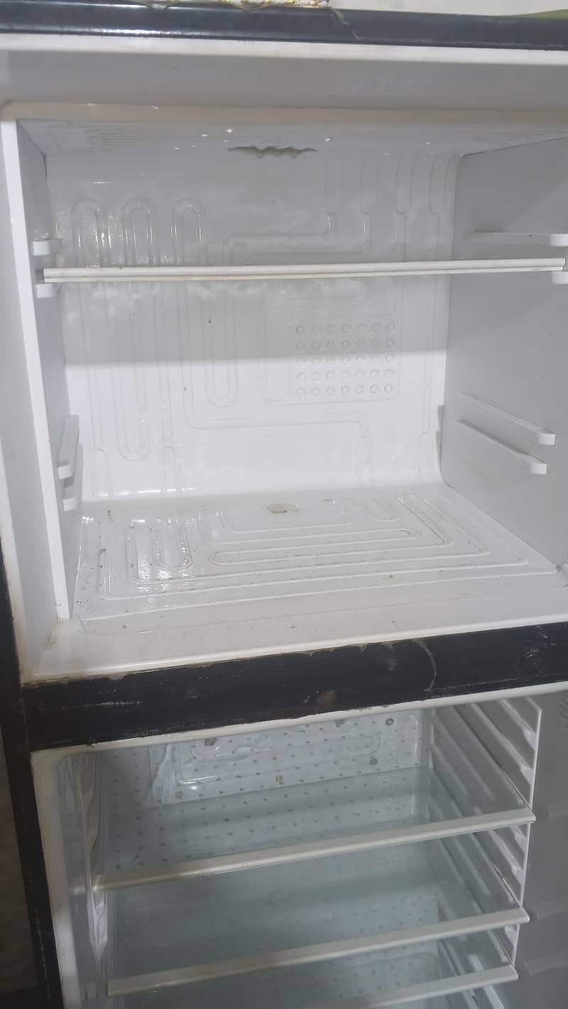 fridge 10