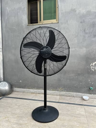 Royal Fans Pedestal Fan