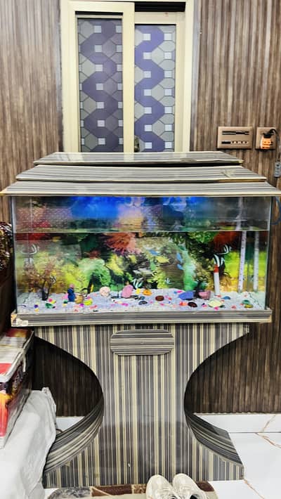 Fish aquarium 3ft very good condition