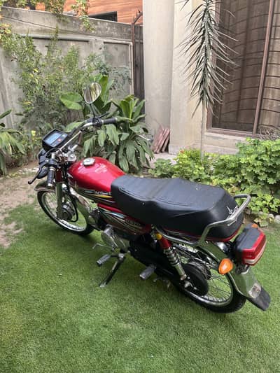 Union Star 70cc 2024