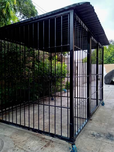 heavy duty iron Dog cage/ dog kennel/ hens cage/ goat cage