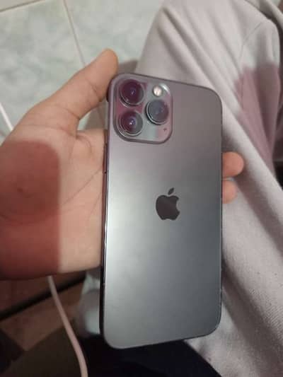 Apple iPhone 13 Pro Max
