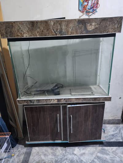 fish aquarium