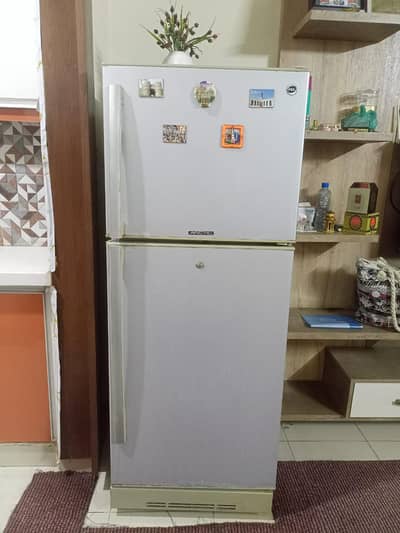 Well-Kept PEL Fridge – No Faults, Great Cooling