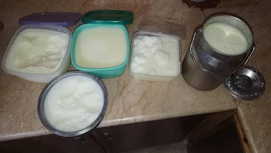 Homemade Pure Desi Ghee