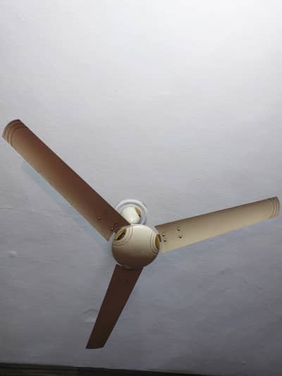Pak Fan 100% copper ceiling fan