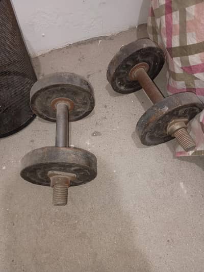 Bench press, Dumbbells and Chest Rod