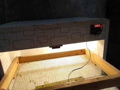incubater