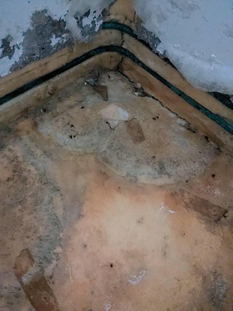 Dawlance deep freezer 5