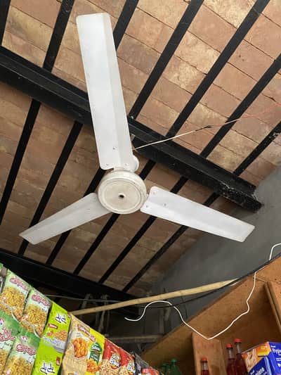 Fan  seal