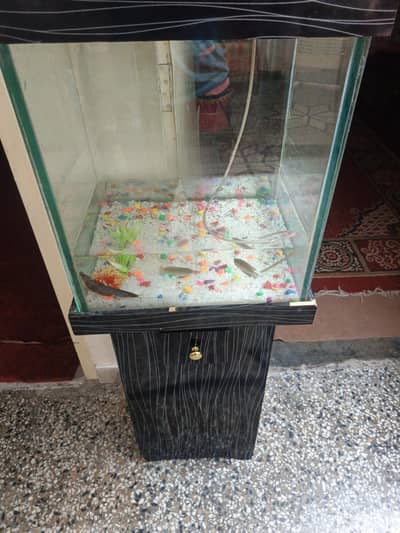 aquarium 2.5 feet
