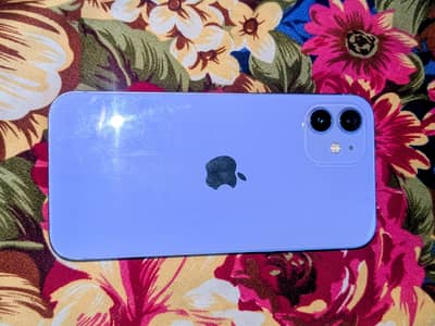 Apple iPhone 12