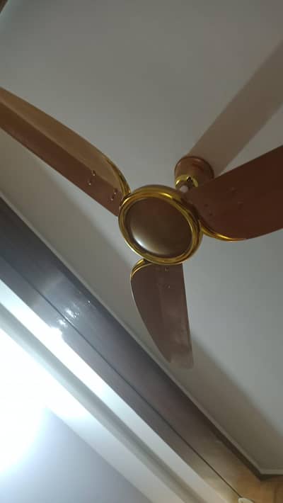 2 Fans