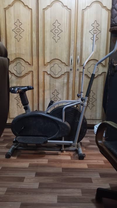 dual action exercise cycle