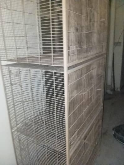 Big bird cages