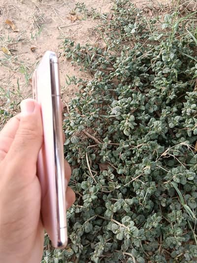 Samsung Mobile S22 5g exchange possible