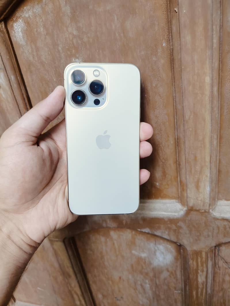 iPhone 13 Pro 0